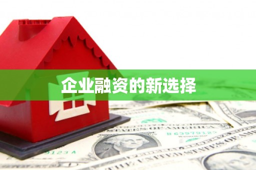 望奎企业融资的新选择