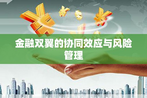望奎金融双翼的协同效应与风险管理