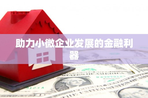 望奎助力小微企业发展的金融利器