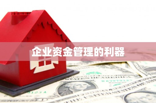 望奎企业资金管理的利器