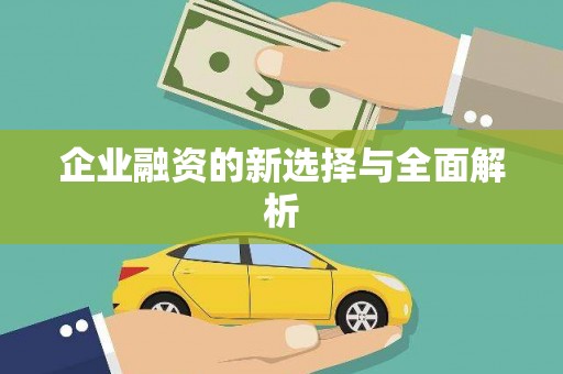 望奎企业融资的新选择与全面解析