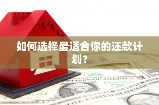 望奎如何选择最适合你的还款计划？