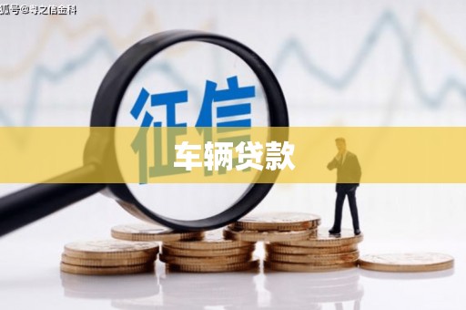 望奎车辆贷款