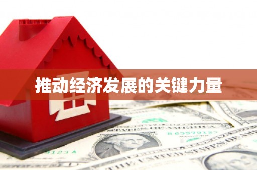 望奎推动经济发展的关键力量