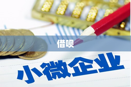 望奎借呗