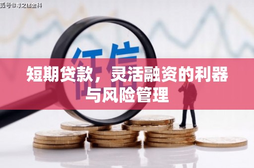 望奎短期贷款，灵活融资的利器与风险管理