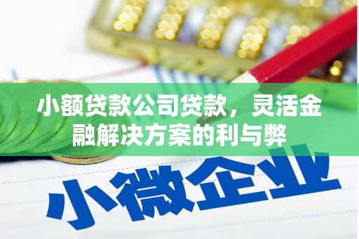 望奎小额贷款公司贷款，灵活金融解决方案的利与弊