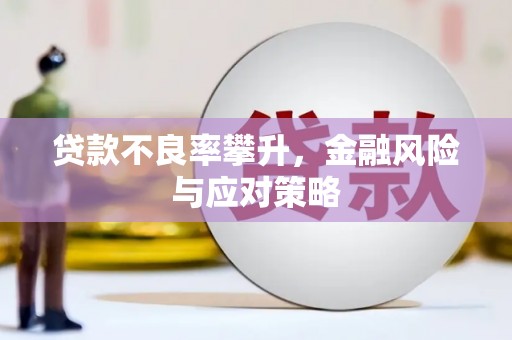 望奎贷款不良率攀升，金融风险与应对策略