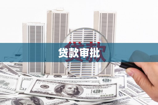 望奎贷款审批