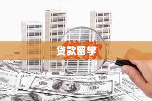 望奎贷款留学