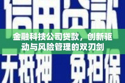 望奎金融科技公司贷款，创新驱动与风险管理的双刃剑