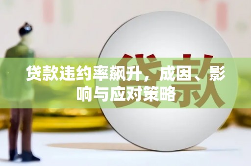 望奎贷款违约率飙升，成因、影响与应对策略